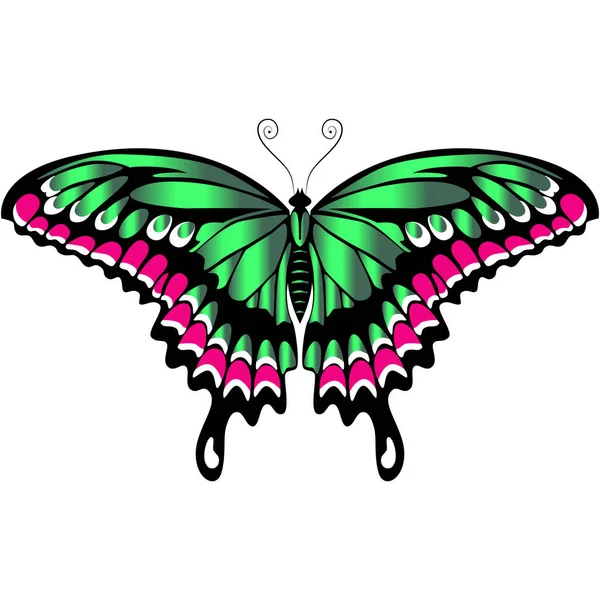 Piękny Delikatny Motyl Powietrza Zielony Kolor Fioletowymi Ozdobami Grafika Wektorowa — Wektor stockowy
