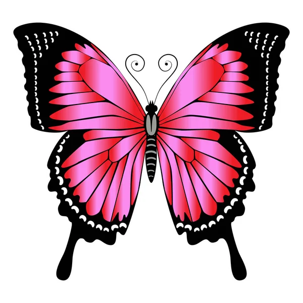 Beau Papillon Rouge Vif Illustration Vectorielle Isolée — Image vectorielle