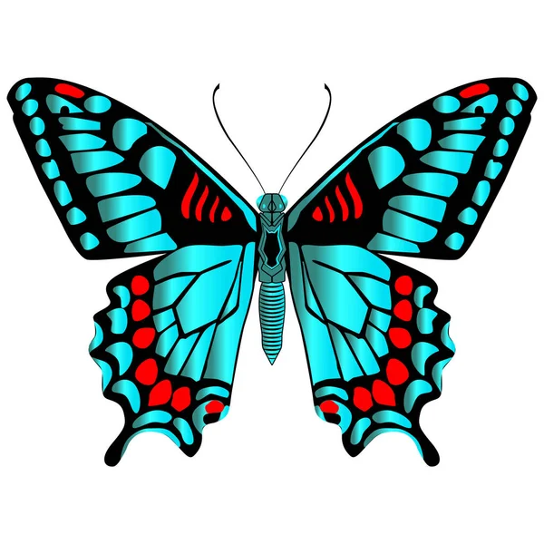 Krásný Jasně Zelený Motýl Izolovaná Vektorová Ilustrace — Stockový vektor