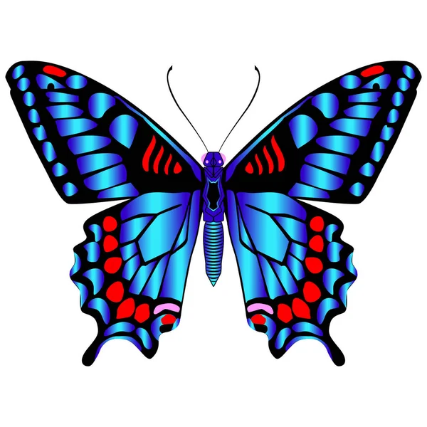 Beautiful Bright Blue Butterfly Vector Illustration Isolated — Vector de stock