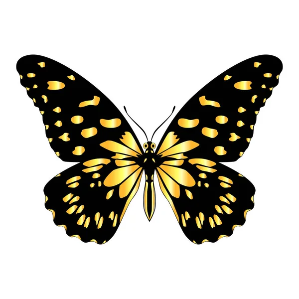 Beautiful Bright Yellow Butterfly Vector Illustration Isolated — Vector de stock