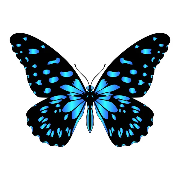 Piękny Niebieski Motyl Ilustracja Wektora Izolowana — Wektor stockowy
