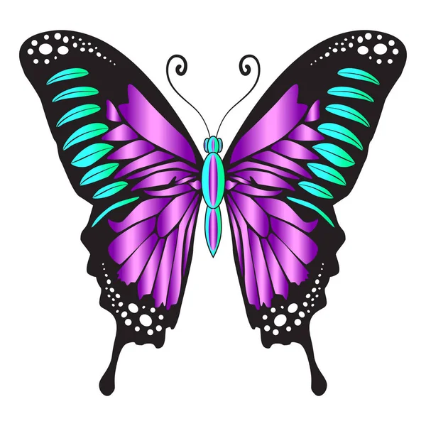 Beautiful bright purple  butterfly. Vector illustration isolated.