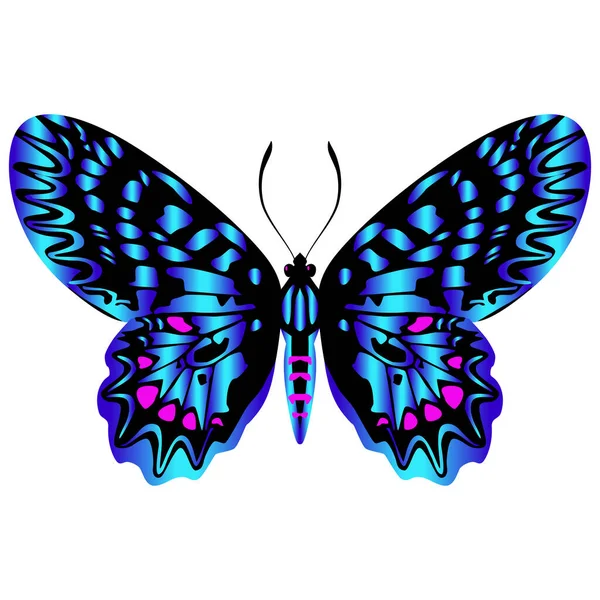 Όμορφη Φωτεινή Μπλε Πεταλούδα Απομονωμένη Απεικόνιση Διανύσματος — Διανυσματικό Αρχείο