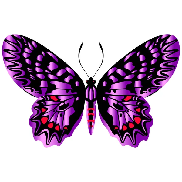 Schöner Leuchtend Lila Schmetterling Vektorabbildung Isoliert — Stockvektor