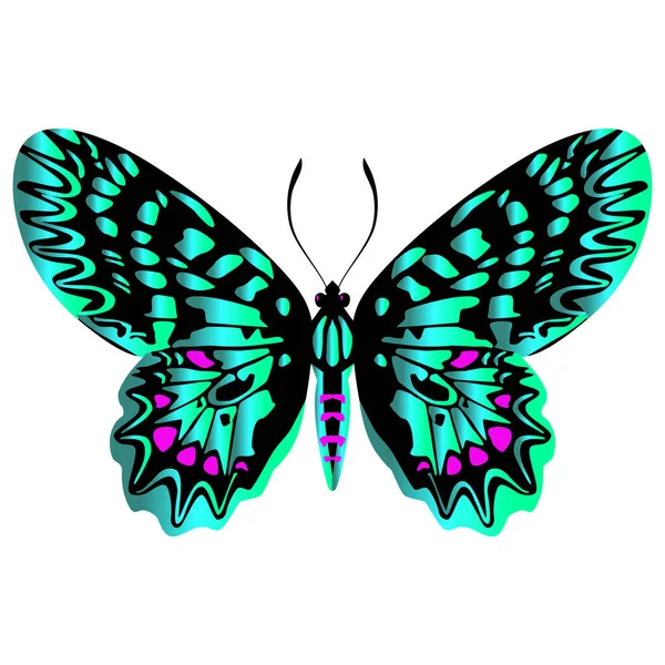 Beautiful Bright Green Butterfly Vector Illustration Isolated — Vector de stock