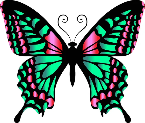 Beau Papillon Vert Vif Illustration Vectorielle Isolée — Image vectorielle