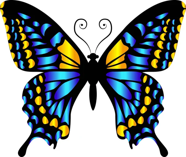 Mooie Heldere Blauwe Vlinder Vectorillustratie Geïsoleerd — Stockvector