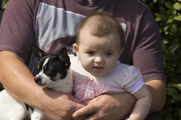 Erkek bebek ve köpek — Stok fotoğraf