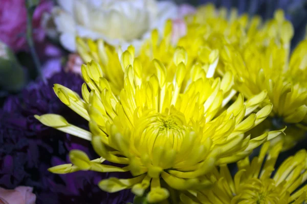 Bunch of pretty flowers — Stock Photo, Image