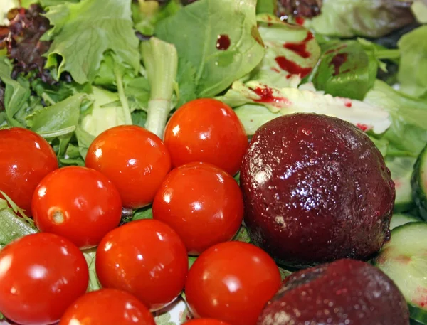 Salat - Stock-foto