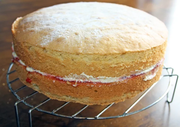 Bolo de esponja — Fotografia de Stock