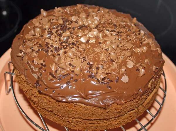 Gâteau éponge — Photo
