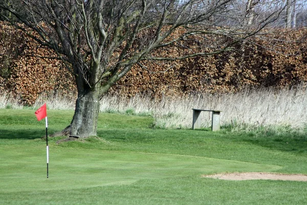 Campo de golfe — Fotografia de Stock