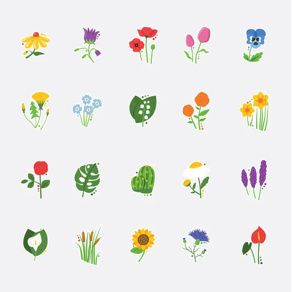 Collection of most beautiful flowers — Stock Vector