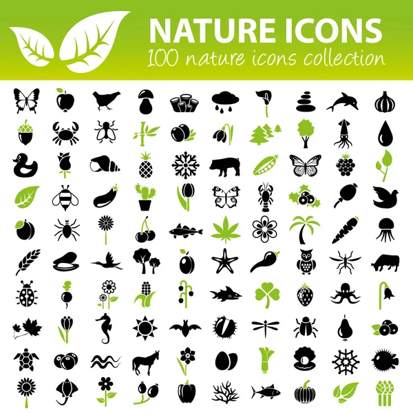 Collection icônes nature — Image vectorielle