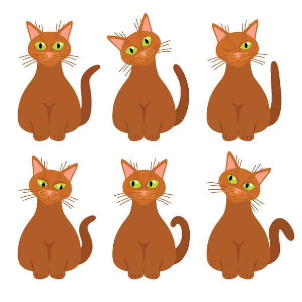 Colección de gatos — Vector de stock