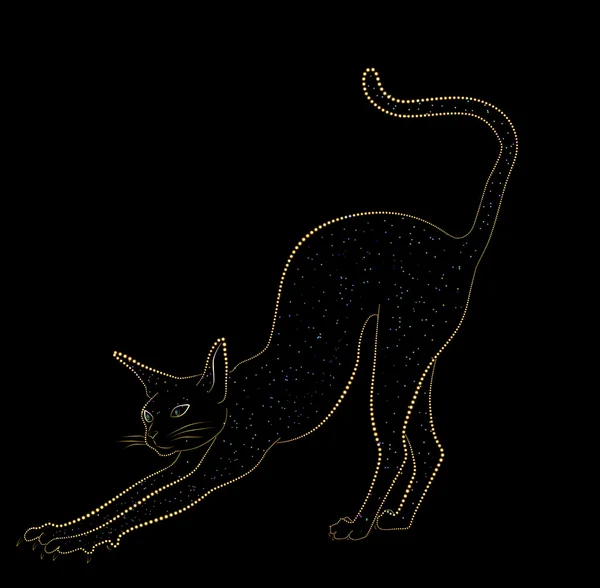 Egipcjanin kot na czarnym tle, poluje — Zdjęcie stockowe