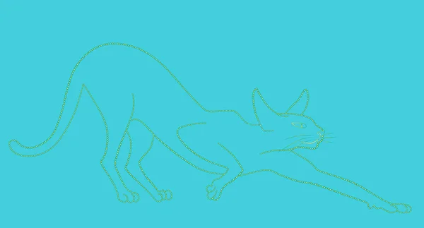 Египетская кошка на бирюзовом фоне, растягивается — стоковое фото
