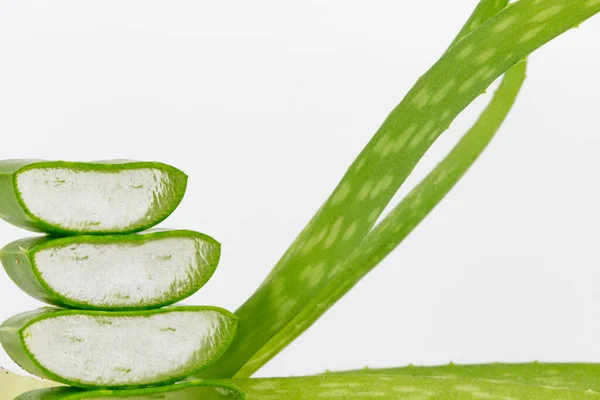 Beyaz Arka Planda Taze Aloe Vera Yaprakları Güzellik Cilt Bakımı — Stok fotoğraf