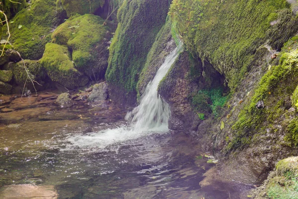 stock image mountain spring water from which a forest stream originates, drinking water