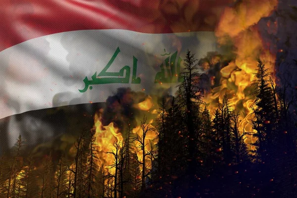 森林火災自然災害の概念 イラクの国旗を背景に森の中で炎 自然の3Dイラスト — ストック写真