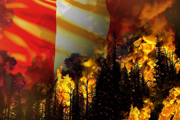 Forest Fire Natural Disaster Concept Infernal Fire Trees Peru Flag — Stock Photo, Image