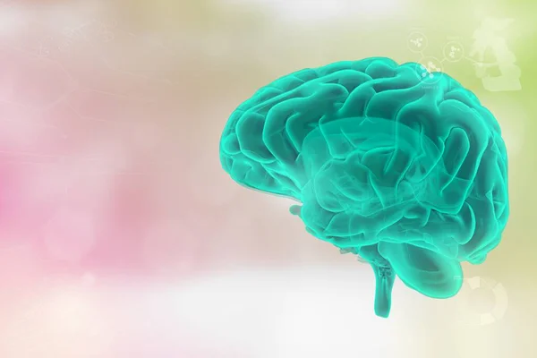 Ανθρώπινος Εγκέφαλος Νευρώνας Έννοια Ανάπτυξης Δικτύου Πολύ Λεπτομερή Υψηλής Τεχνολογίας — Φωτογραφία Αρχείου
