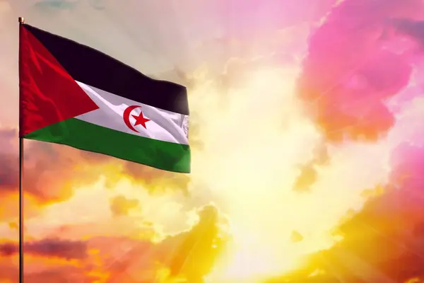 Fluttering Δυτική Σαχάρα Σημαία Στην Αριστερή Κορυφή Γωνία Mockup Τον — Φωτογραφία Αρχείου