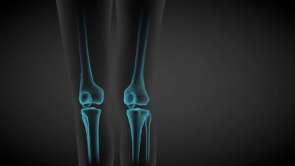Animaciones Bucle Sin Costura Cuerpo Femenino Girando Escaneo Rayos Huesos — Vídeo de stock