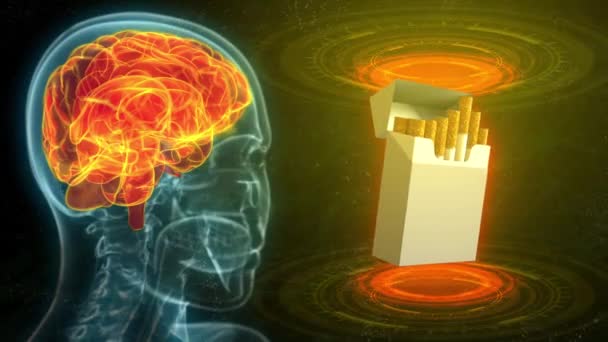 Imagen Cabeza Humana Rayos Con Cerebro Resaltado Paquete Cigarrillos Daño — Vídeo de stock