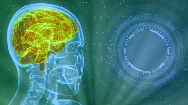 Medyczne Tło Ilustracji Rentgen Ludzkiej Głowy Podświetlonym Mózgiem Pustą Przestrzenią — Zdjęcie stockowe
