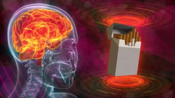 Imagen Cabeza Humana Roentgen Con Cerebro Resaltado Paquete Cigarrillos Detener — Vídeo de stock