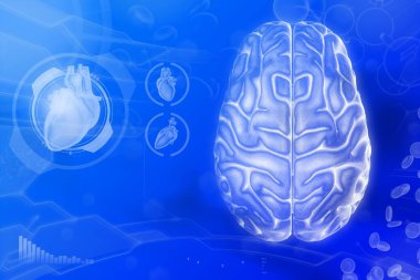 Tıbbi 3D illüstrasyon - insan beyni, beyin analiz konsepti - çok detaylı yüksek teknoloji geçmişi