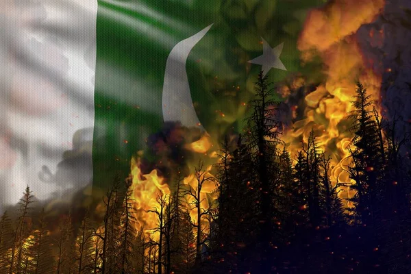 Forest Fire Natural Disaster Concept Flaming Fire Woods Pakistan Flag — Stock Photo, Image