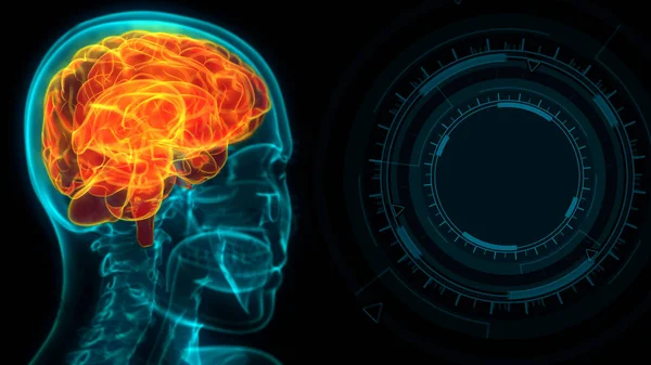 Medyczne Tło Ilustracji Obraz Głowy Człowieka Holo Podświetlonym Mózgiem Pustą — Zdjęcie stockowe