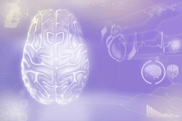 Medical 3D illustration - human brain, mental work concept - highly detailed electronic background