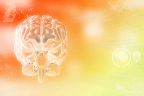 Ludzki Mózg Koncepcja Analizy Mądrości Bardzo Szczegółowa Nowoczesna Faktura Medyczna — Zdjęcie stockowe