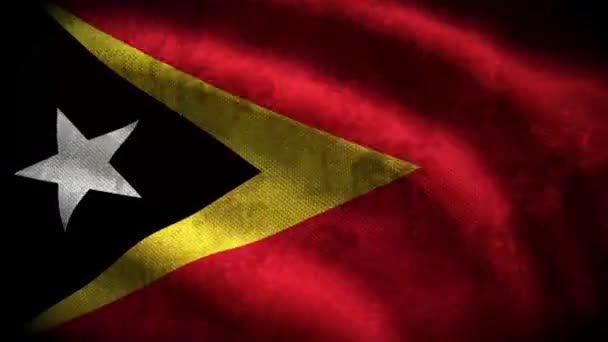 60Fps Dark Grunge Timor Flag Colored Timor Shabby Fabric Texture — стоковое видео