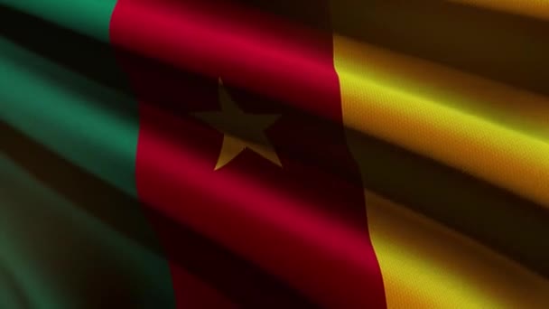 60Fps Tmavý Kamerun Vlajka Texturou Tkaniny Vlnění Pozadí Uhd Bezešvé — Stock video