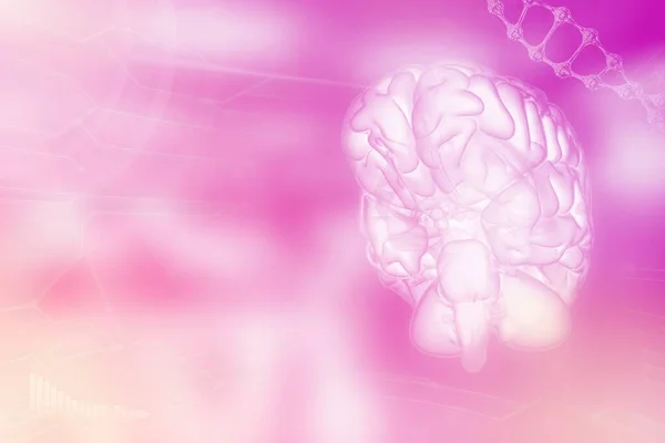 Human brain, brain development concept - highly detailed hi-tech texture or background, medical 3D illustration