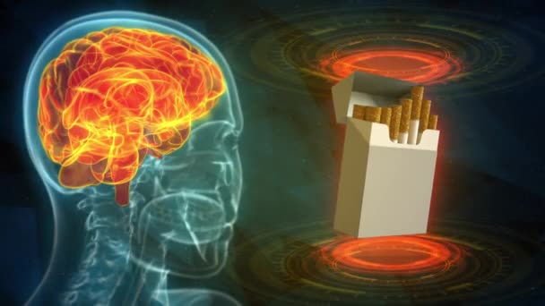 Рентген Изображение Головы Человека Выделенным Мозгом Сигаретный Пакет Вред Мозгу — стоковое видео