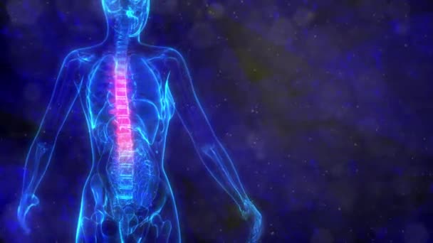 X光身体上的人类脊椎中部 — 图库视频影像