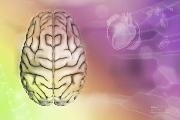 Ιατρική Τρισδιάστατη Απεικόνιση Ανθρώπινος Εγκέφαλος Νευρώνας Έννοια Ανάπτυξης Δικτύου Πολύ — Φωτογραφία Αρχείου