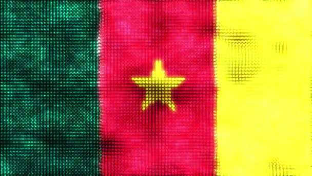Καμερούν Ψηφιακή Σημαία Βρόχο Animation — Αρχείο Βίντεο