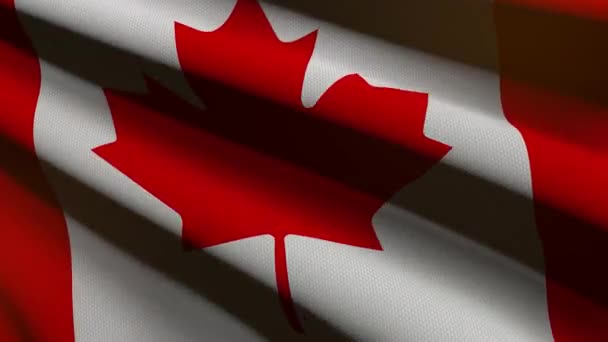 Bandeira Canadá Animação Loop — Vídeo de Stock