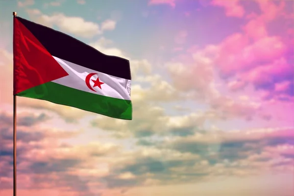 Fluttering Δυτική Σαχάρα Σημαία Mockup Τον Τόπο Για Κείμενό Σας — Φωτογραφία Αρχείου