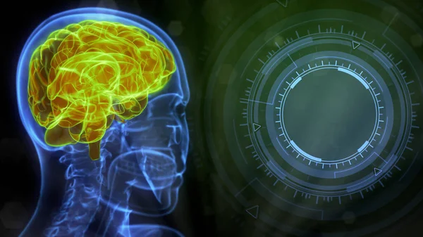 Roentgen Obraz Ludzkiej Głowy Podświetlonym Mózgiem Pustą Przestrzenią Prawej Stronie — Zdjęcie stockowe