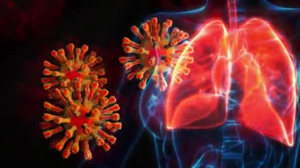 Animación Médica Riesgo Pulmonar Del Virus Corona — Vídeo de stock