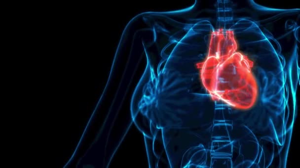 Menselijk Hart Ziekte Xray View Medische Animatie — Stockvideo